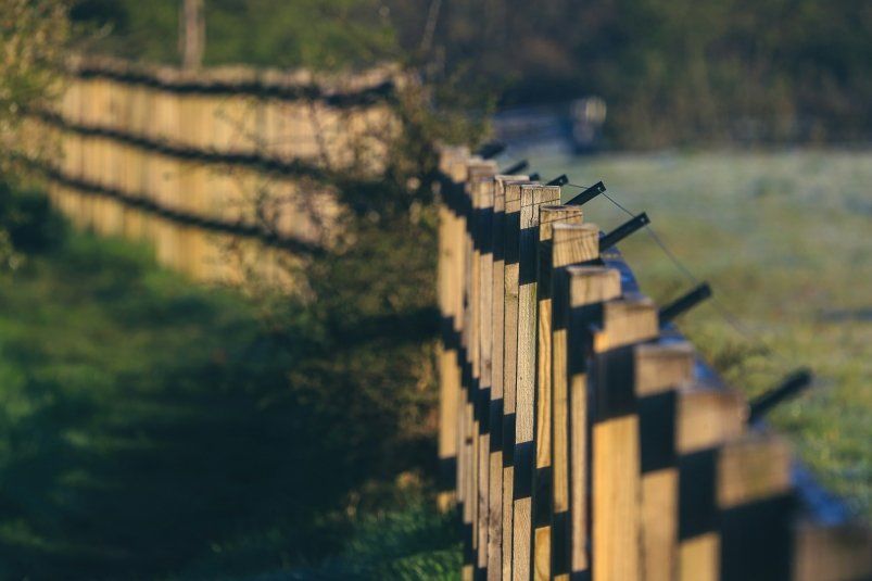 Выбрала этот материал для дачного забора и другим советую — выглядит обалденно, а ухода не требует совсем: шик, блеск, красота