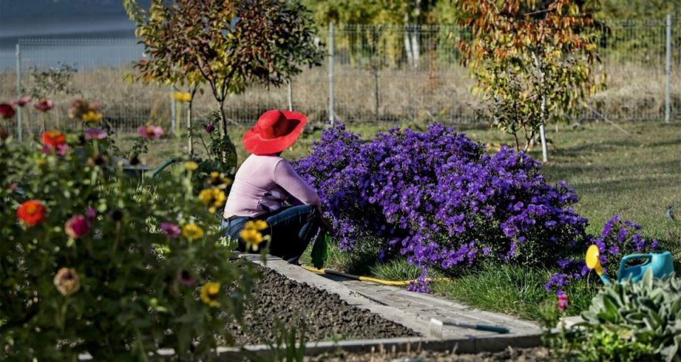 Зимнее укрытие: как сохранить ваши любимые цветы до весны