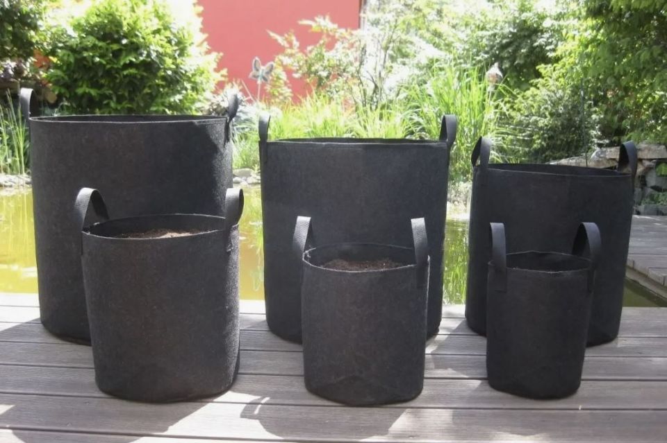 Контейнерное садоводство: секреты успешного урожая прямо на вашем участке