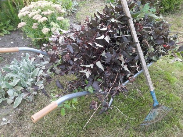 ������� ���������: ��� ���������� ����������� ������ � ���������� � �������