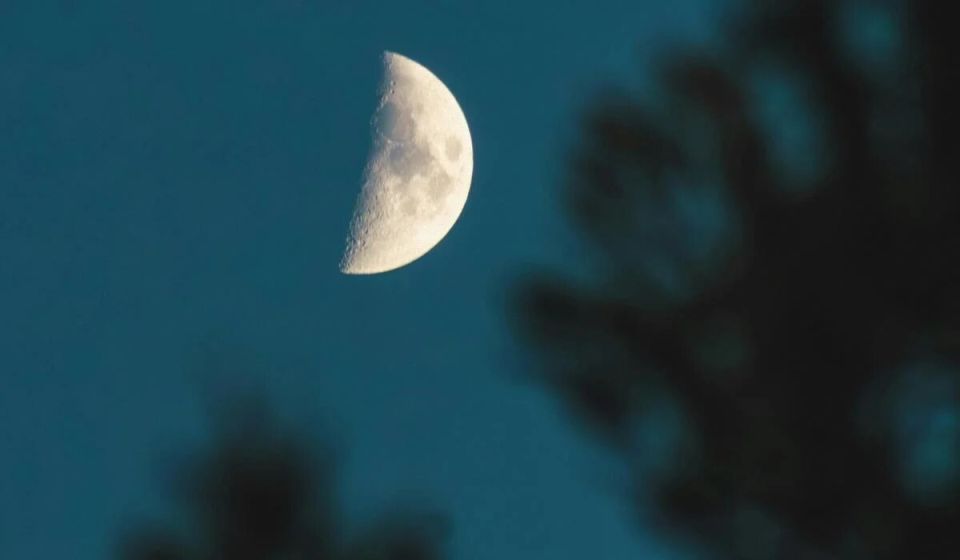 ����������� �������: ����� ����� ����� ����� � ����� ����� �������� ������