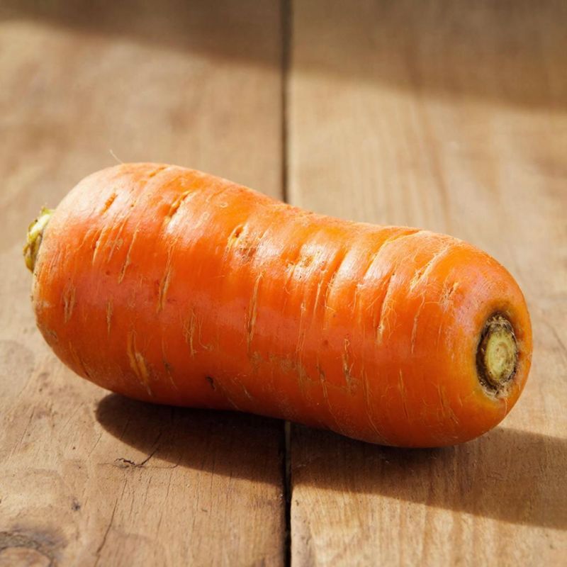 Почему морковь не радует урожаем: основные ошибки на грядке