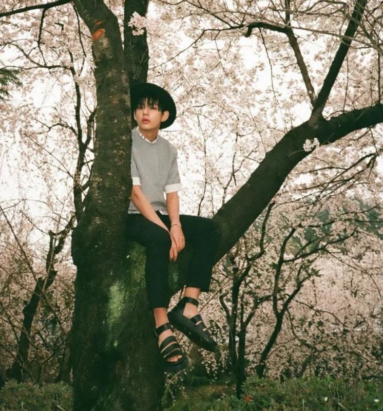 Цифровой детокс: как отключение от сети помогает переосмыслить жизнь