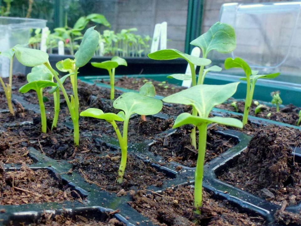 ��� ������� ���������� ������ ������ � ������� ������� �������� ���������