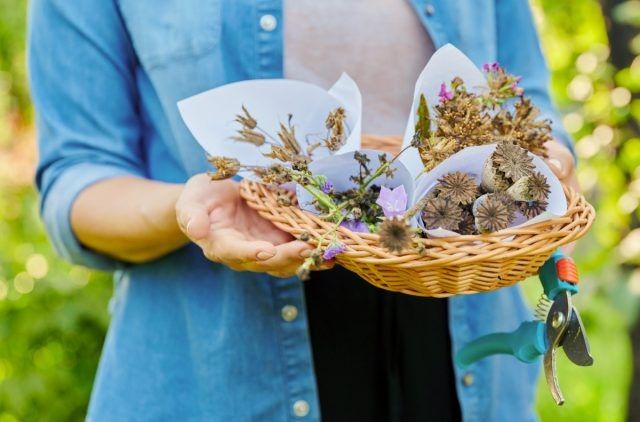 ������ ����� ����������� ������ ����� ������?