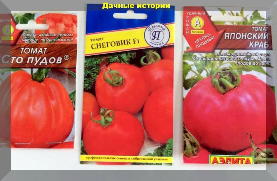 ��� ������� �������� ��������� ����� �������: �������� ������ ��� ���������