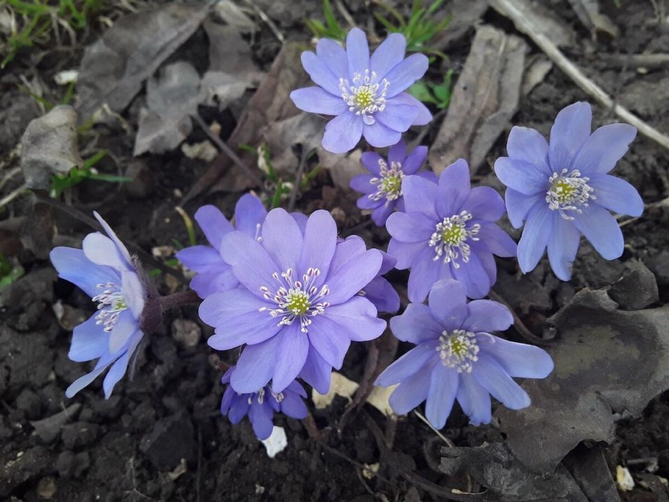 ����������� � ����: �������� ����� ����� ������ �������