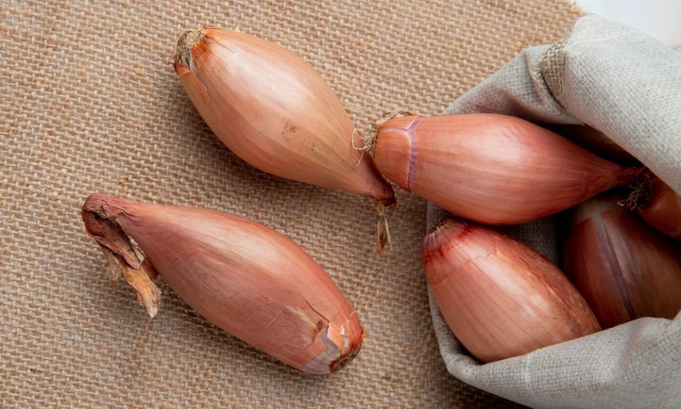 ��� ��������� ��� � �������� �� �����: ������ ������