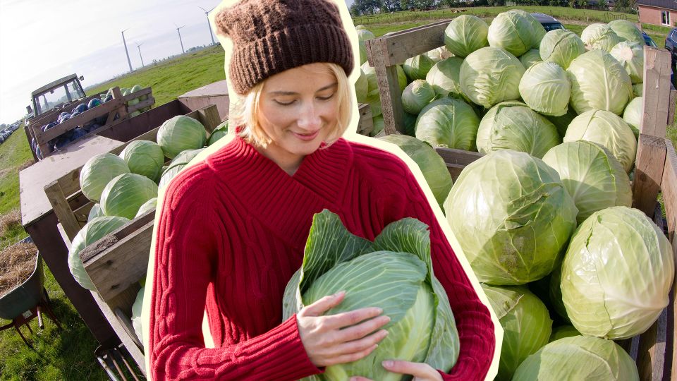 �������� ������ ������� �� 2 ������ ������: � � �������� �������� �� ��������