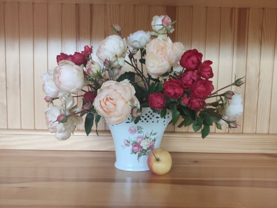 ��� �������� ���������: ������� ������ ��������� ���������