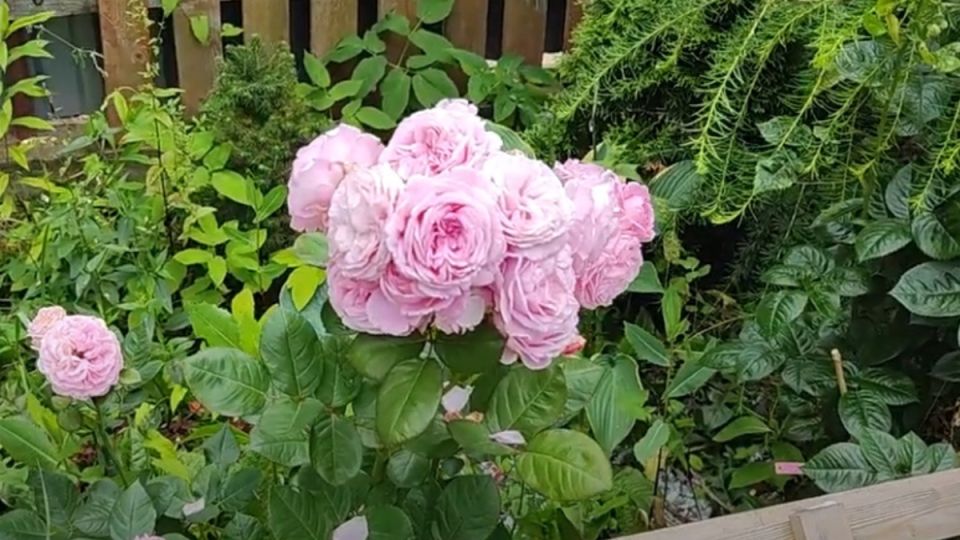 ��������� ������: ������ ����� ������������� ��� ��� ���������