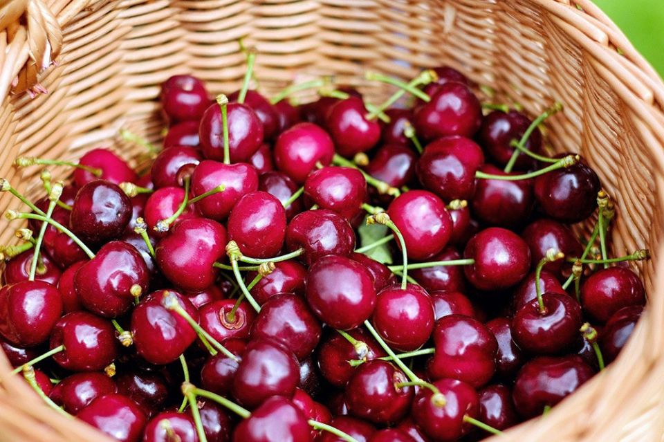 ������ ����� ����� �������: ����������� ����� � ������ � ������