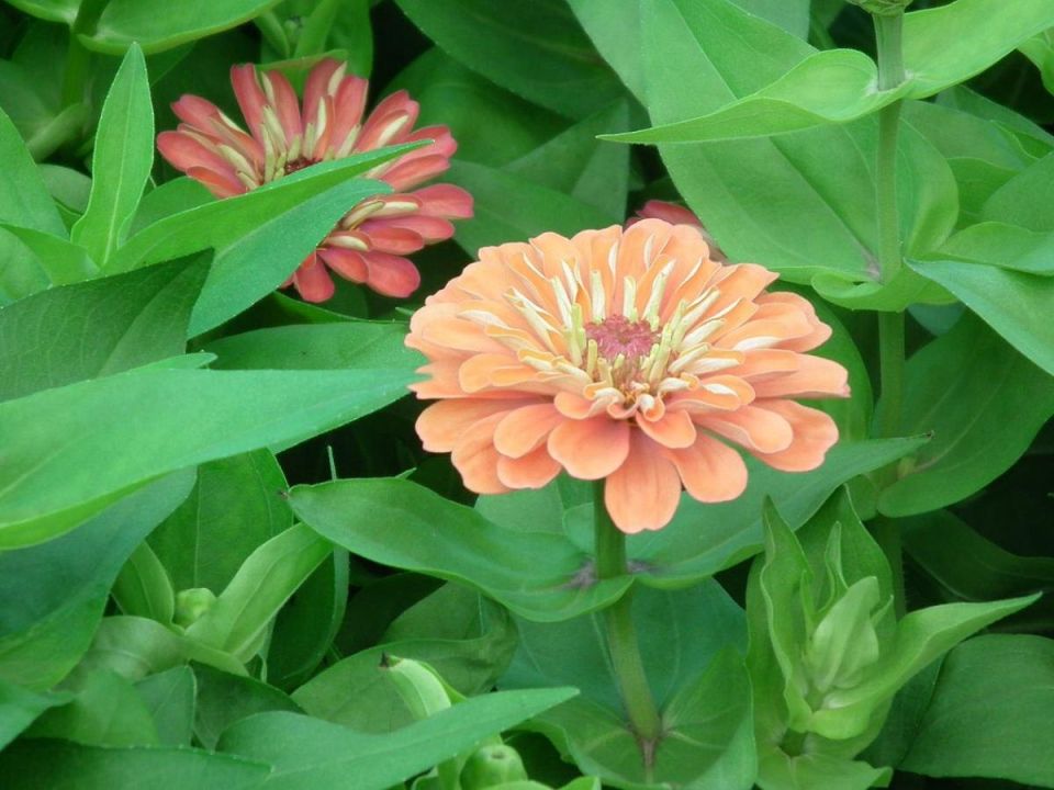 ���� � ����� ������������ ��� ���������