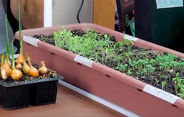 ������ ��������� ������� �������: ��� ��������� ������ ����� �� �����������