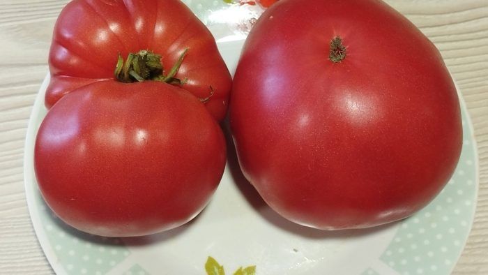 ����� ������: ��������� ���� ��� ������ �������