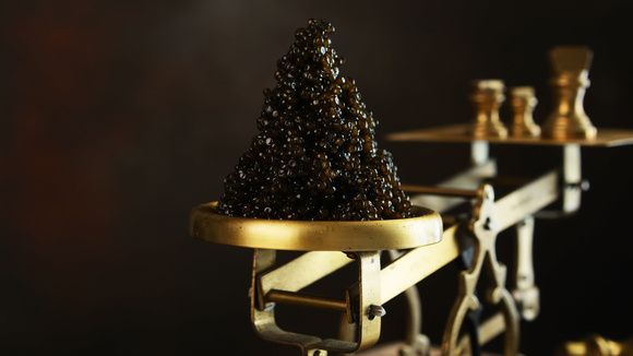 Тайна черной икры: от рыбацкой пищи до символа статуса