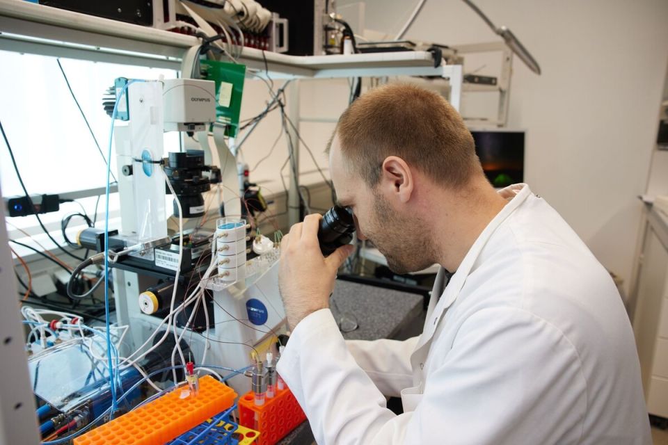 Иностранные компании ищут лазейки для обхода нового закона