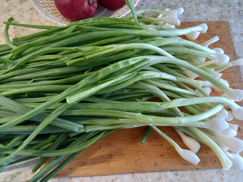 Полезные советы: как заморозить ягоды и зелень в июне, чтобы сэкономить зимой