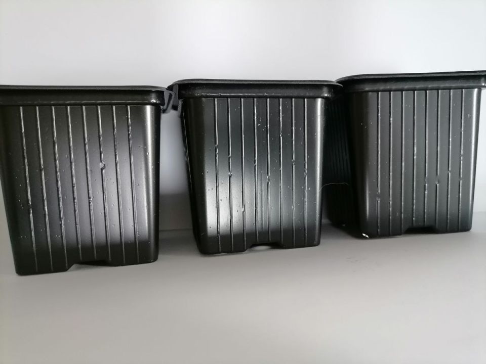 ��� ������� ��������� ��������� ����� ��� �������: ����� ������ ��� �������?