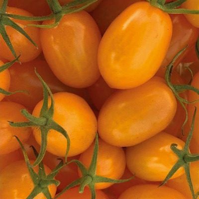 ����� �������� ���� ���������: ��������� ����� ��� ��������� �������