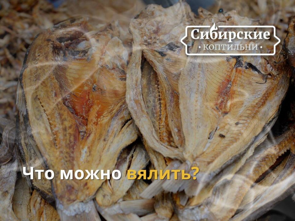 ��� ��������� ������ ��������: ������� �������� � ������ ����