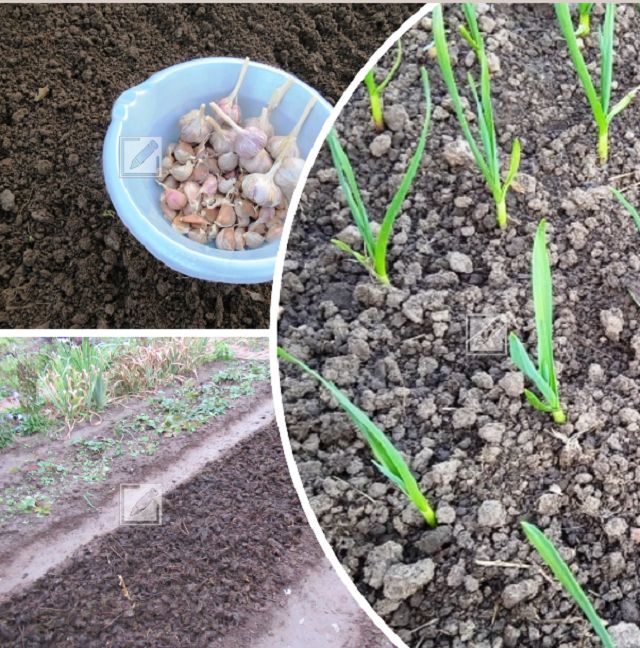 ������� ���������� ������ ��� �������: ������ � �������