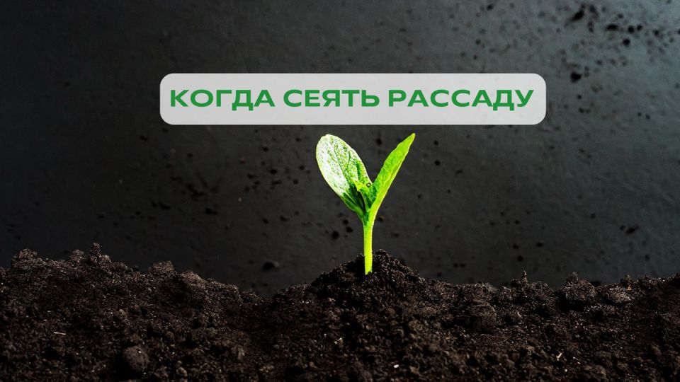 ��� ���������� ����������� ���� ������� ������� � �����