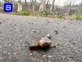 Медленно, но верно приближаемся к середине рабочей недели Доброй ночи, северяне!