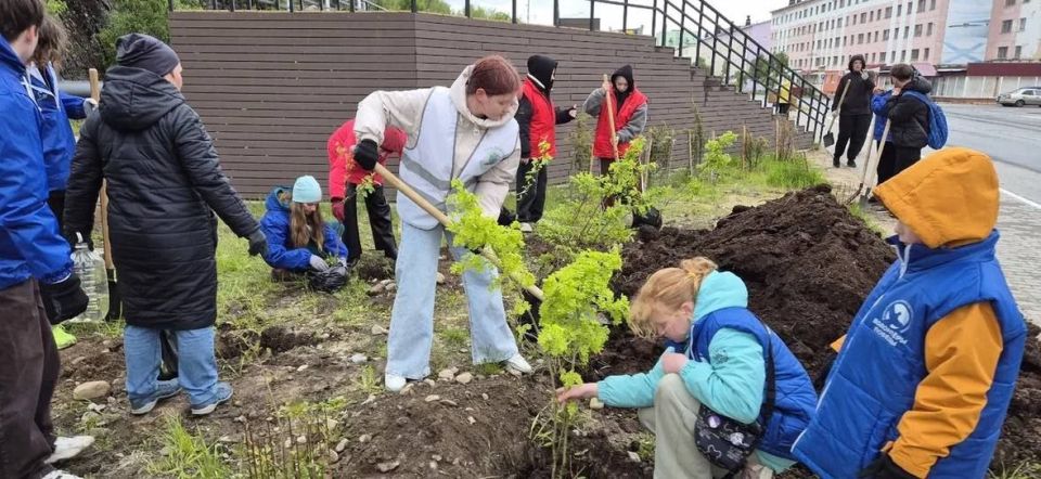 В Мурманской области в рамках международной акции «Сад памяти» высажено более 16 тысяч деревьев и кустарников