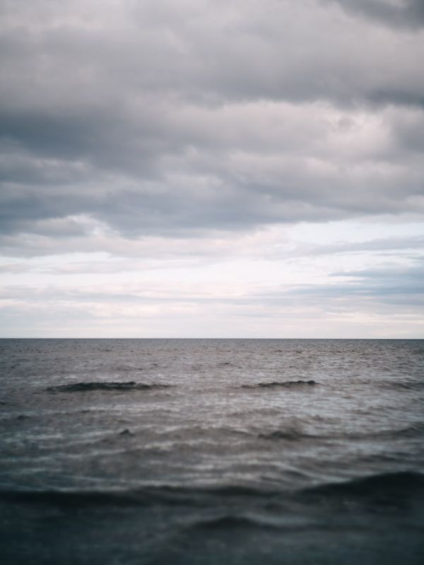  , !.     -   ,  ,     