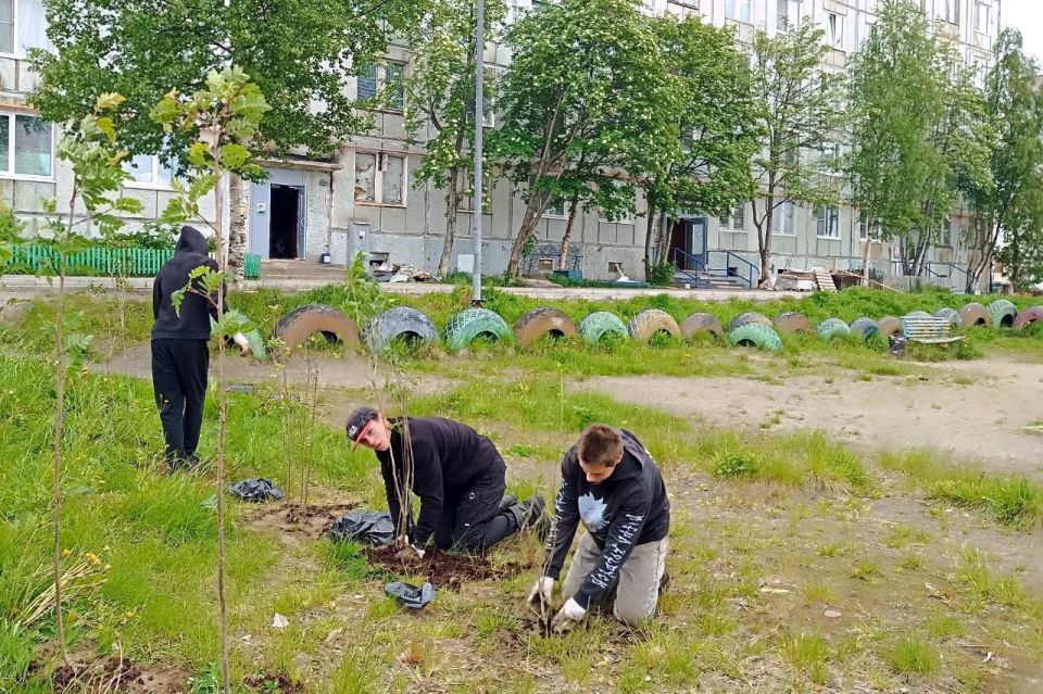 Новые деревья и яркие цветы украсили улицы Североморска