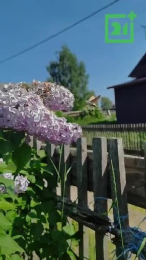  , !.       ,    -