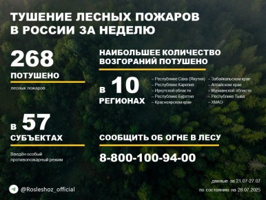 По данным Авиалесоохраны, подведомственной организации Рослесхоза, за прошедшую неделю потушено 268 лесных пожаров в 38 регионах России