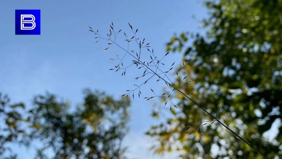    , 13         