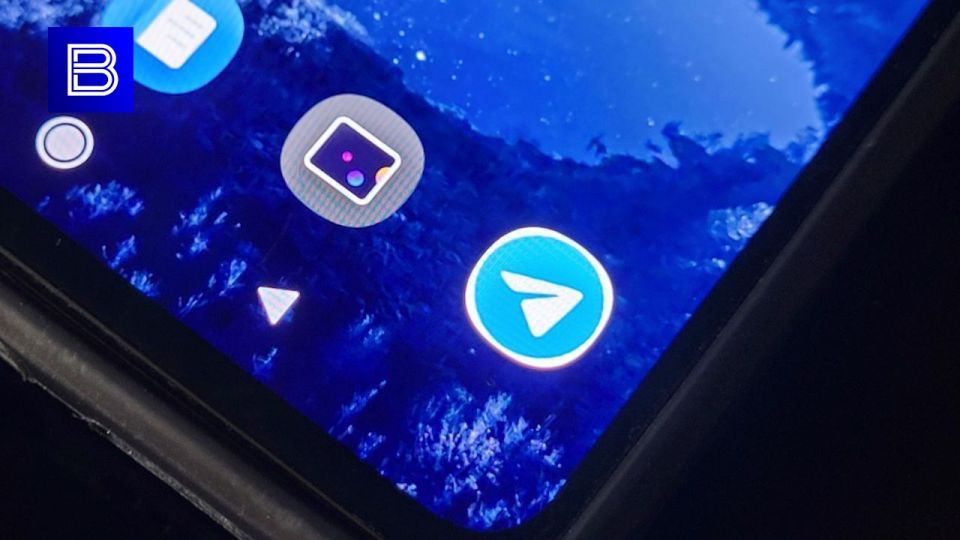    Telegram  WhatsApp* (* Meta      )    