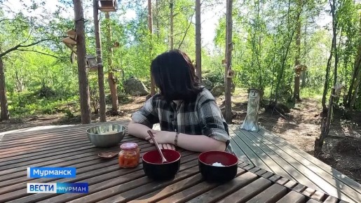 Как этим летом обстоят дела с одним из символов Арктической кухни – морошкой?