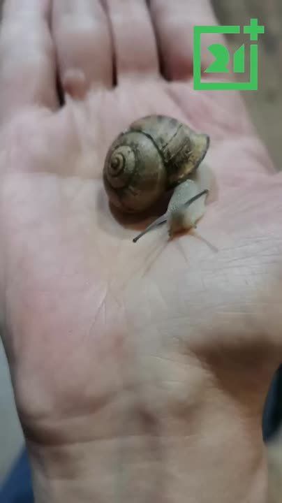  , !.        ,   ,    ,    ;     , ...