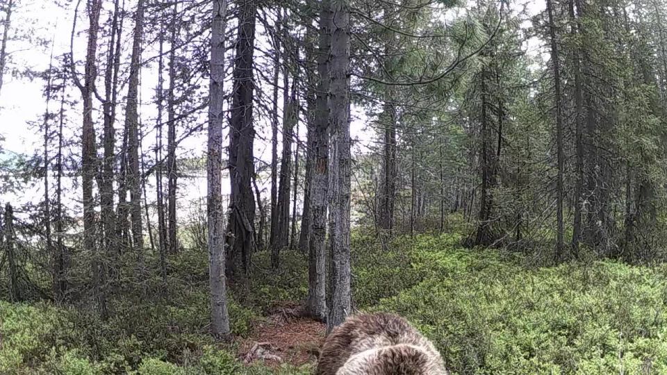   -     &quot;&quot;   