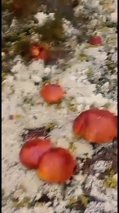   ? .   