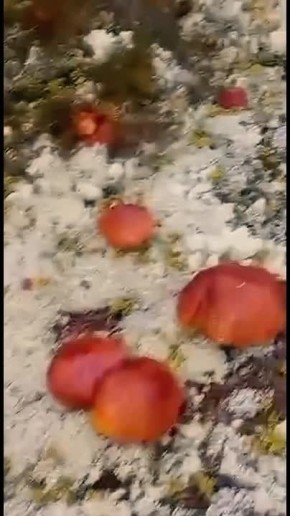   ? .   