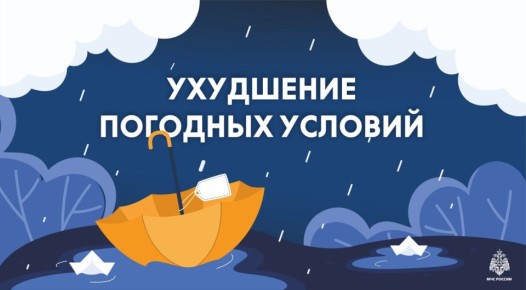 !.     ѻ, 12  2025   ,        ,  ,          