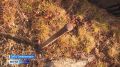 Замаскировано и бесперебойно: военные связисты Северного флота на скорость развернули в лесу технику для обмена данными с авиацией