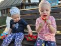 Клубника: как добиться отличного урожая