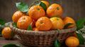 Абхазские цитрусы на российских прилавках: рост поставок и вкусовое разнообразие