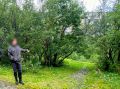 В Североморске местный житель признан виновным в совершении преступлений в сфере незаконного оборота наркотиков