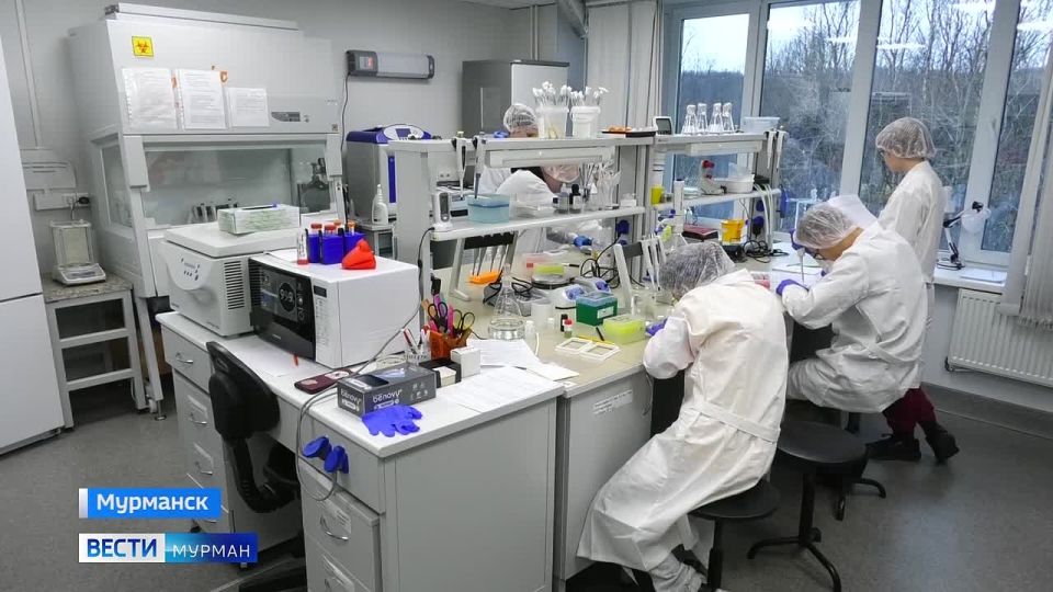 &quot;  &quot;:     - 