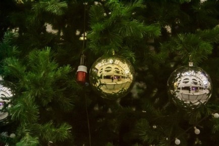 Золотой, зелёный, красный: в каких цветах встретить год Дракона