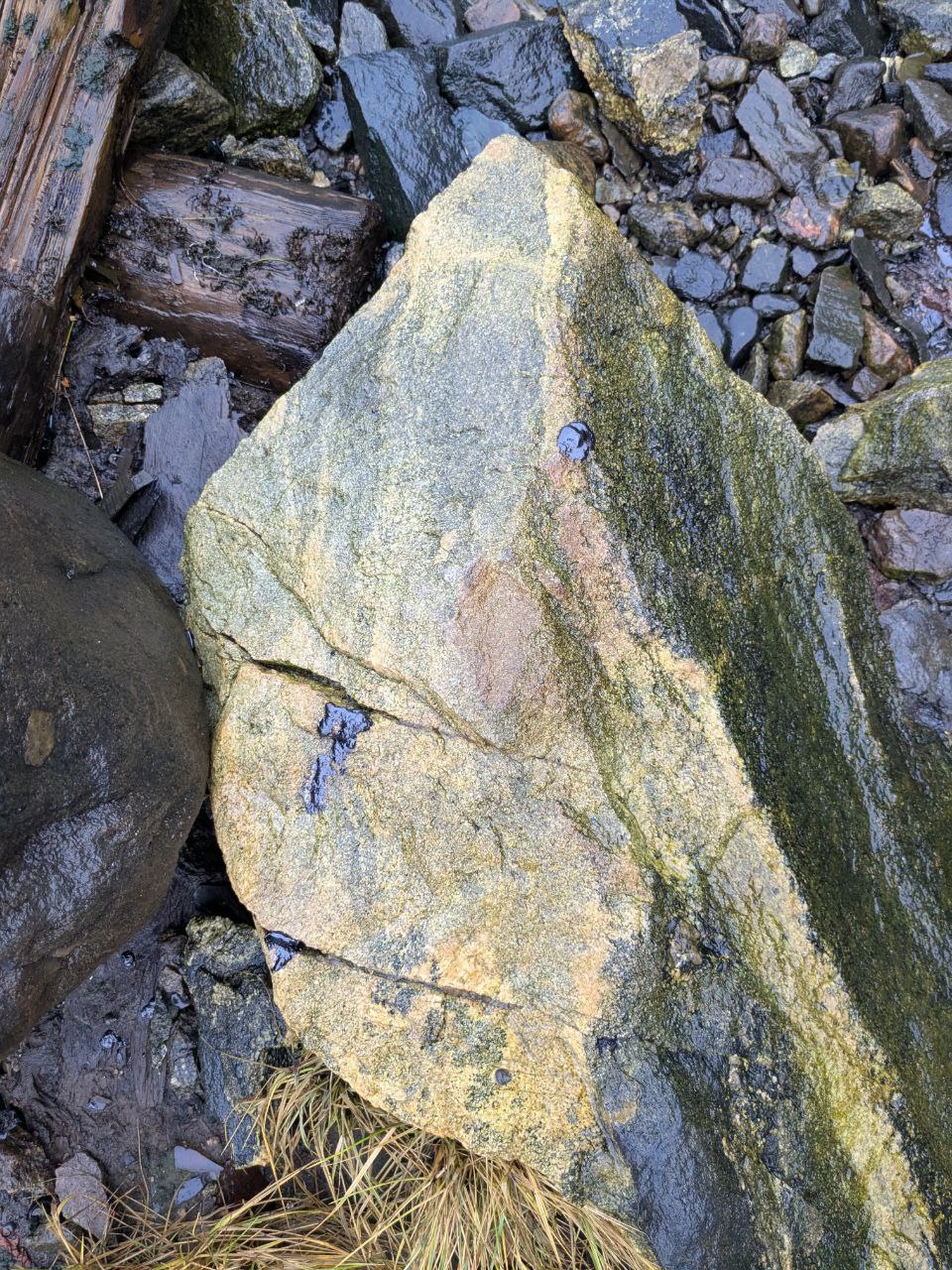 В администрации Мурманска прокомментировали ситуацию с "мазутом" в Росляково В администрации Мурманска прокомментировали ситуацию с "мазутом" в Росляково