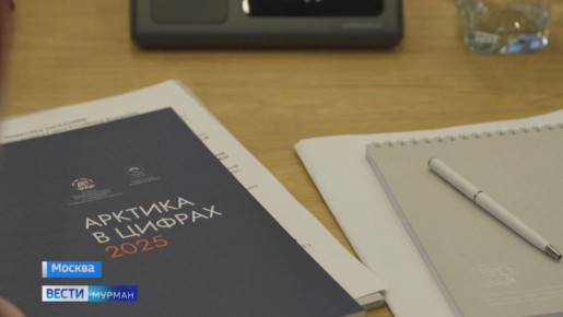 Комиссия Госсовета по направлению "Северный морской путь и Арктика" продолжает работу над поручениями президента РФ