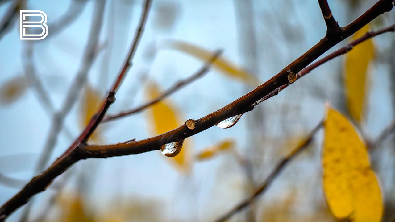По данным мурманского гидрометцентра, 31 октября в Кольском Заполярье ожидается облачная с прояснениями погода